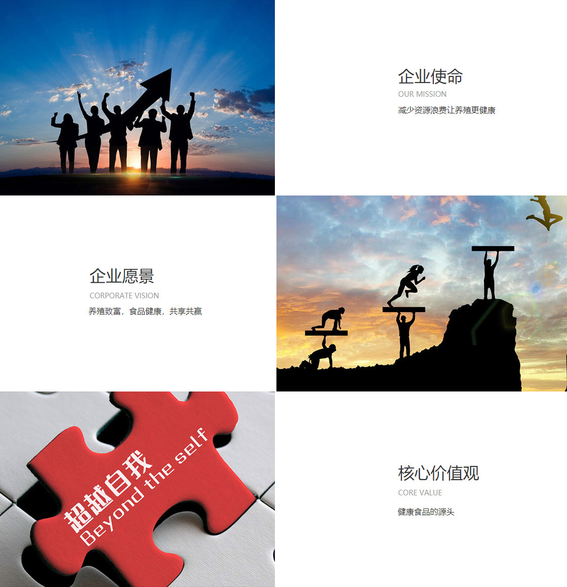 28圈官方网站(图1)